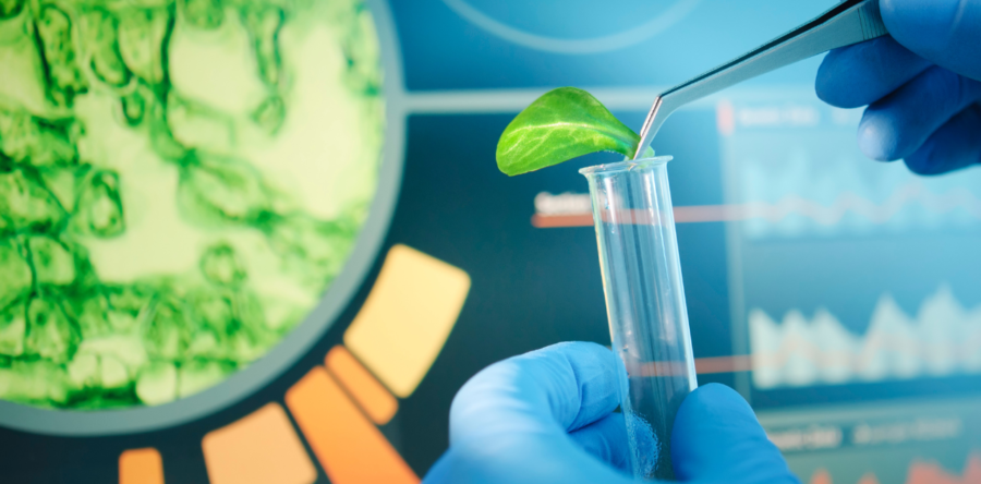 Biotechnology Sector Report